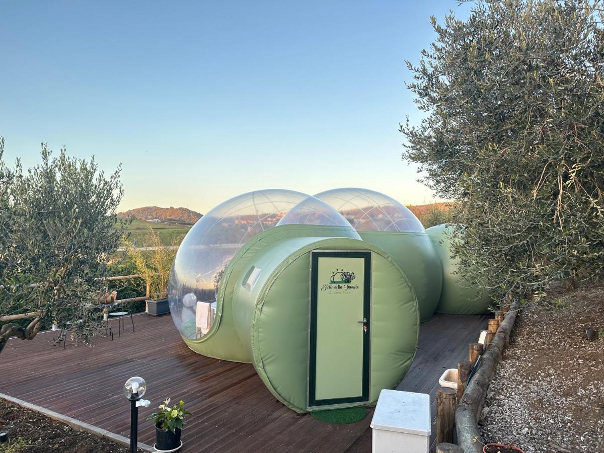 Villa Ulivi Filiano Εξωτερικό φωτογραφία